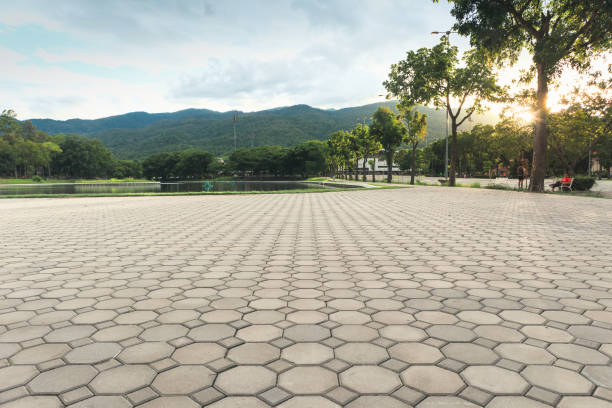 Best Residential Driveway Paver Services  in Sudden Valley, WA